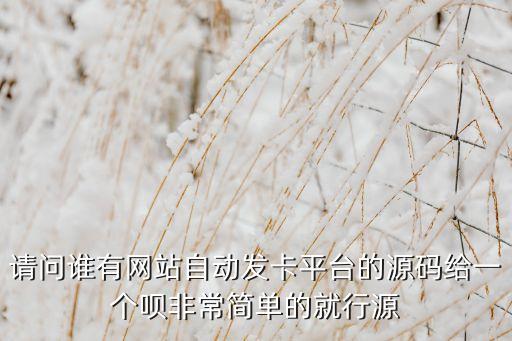 24小時自動發(fā)卡平臺下載，哪里有好用更安全的自動發(fā)卡平臺自動發(fā)卡密平臺自動發(fā)游戲點