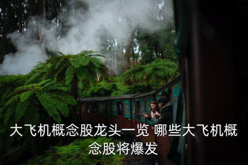 大飛機概念股龍頭一覽 哪些大飛機概念股將爆發(fā)
