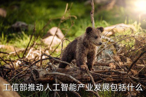 工信部推動(dòng)人工智能產(chǎn)業(yè)發(fā)展包括什么