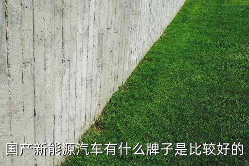 國產(chǎn)新能源汽車有什么牌子是比較好的