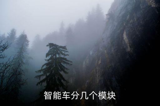 智能車(chē)分幾個(gè)模塊