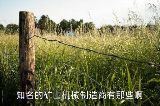 知名的礦山機(jī)械制造商有那些啊