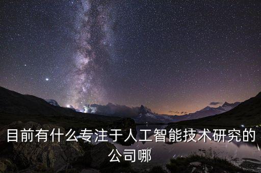 目前有什么專(zhuān)注于人工智能技術(shù)研究的公司哪