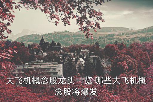 大飛機概念股龍頭一覽 哪些大飛機概念股將爆發(fā)