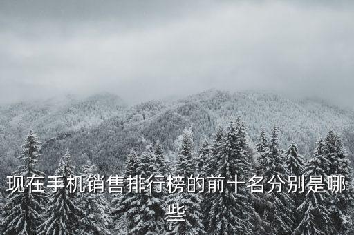 現(xiàn)在手機(jī)銷售排行榜的前十名分別是哪些