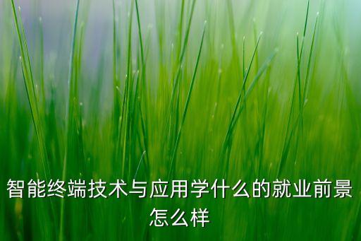 智能終端技術(shù)與應(yīng)用學(xué)什么的就業(yè)前景怎么樣