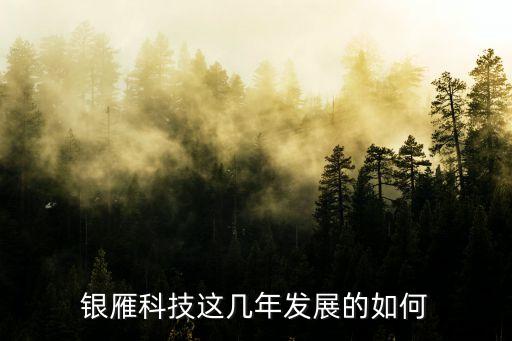 科技賦能業(yè)務(wù)發(fā)展情況，科技是配合業(yè)務(wù)發(fā)展還是引領(lǐng)業(yè)務(wù)發(fā)展