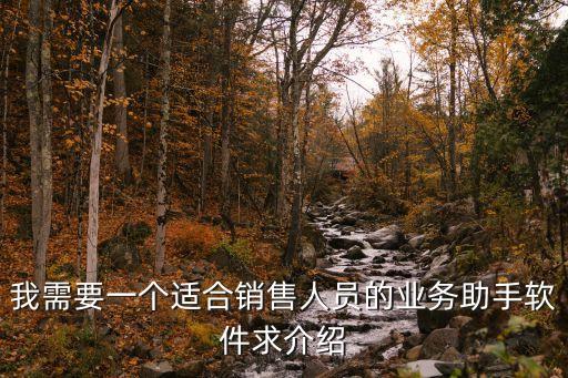 我需要一個(gè)適合銷售人員的業(yè)務(wù)助手軟件求介紹