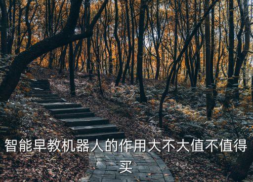 智能早教機器人的作用大不大值不值得買