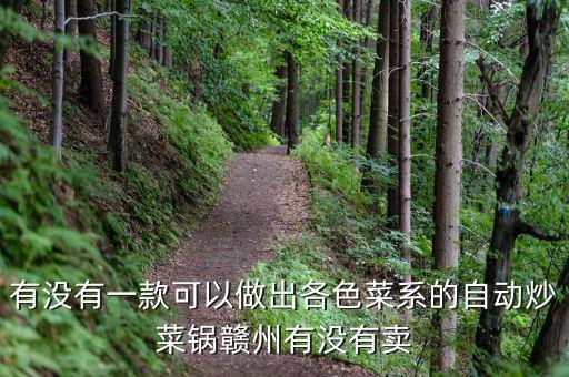 小型自動翻炒鍋，有沒有一款可以做出各色菜系的自動炒菜鍋贛州有沒有賣