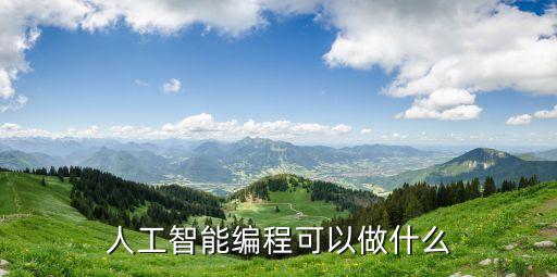 人工智能編程可以做什么