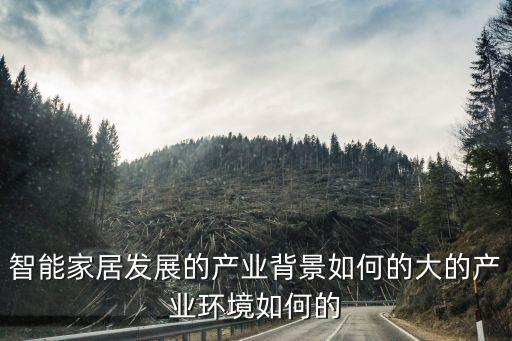 智能家居發(fā)展的產(chǎn)業(yè)背景如何的大的產(chǎn)業(yè)環(huán)境如何的