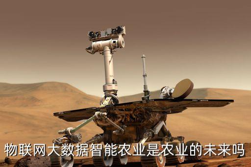 物聯(lián)網(wǎng)大數(shù)據(jù)智能農(nóng)業(yè)是農(nóng)業(yè)的未來(lái)嗎