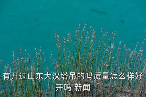山東大漢智能數(shù)控怎么樣，雙豐鴻達(dá)方圓華夏中文大宇志鵬山東大漢哪一個質(zhì)量