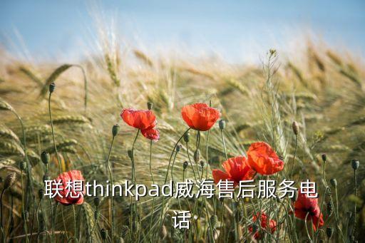 聯(lián)想thinkpad威海售后服務(wù)電話