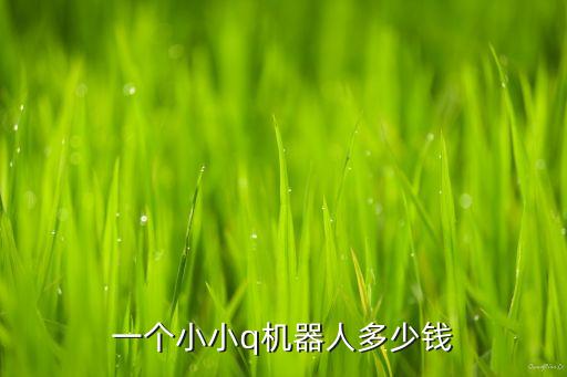 仿真人智能機器人價格表，仿人機器人NAO多少錢一個哪里可以買