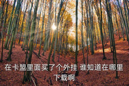 卡盟和平精英掛，在卡盟里面買(mǎi)了個(gè)外掛 誰(shuí)知道在哪里下載啊
