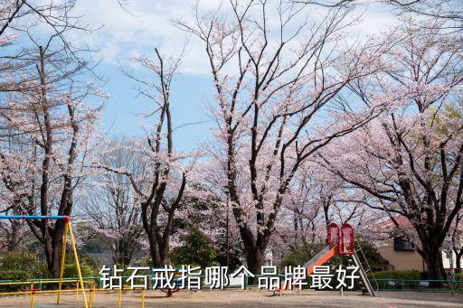 鉆石戒指哪個品牌最好