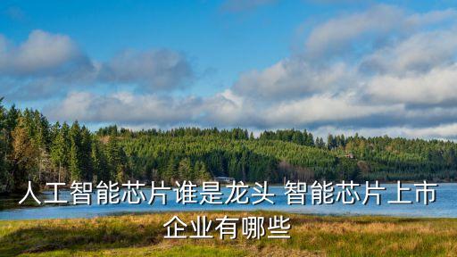 人工智能芯片誰是龍頭 智能芯片上市企業(yè)有哪些