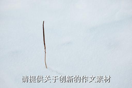 請?zhí)峁╆P(guān)于創(chuàng)新的作文素材