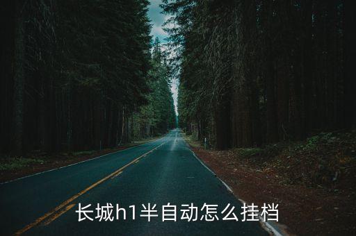 長(zhǎng)城h1半自動(dòng)怎么掛檔