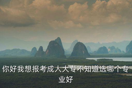 你好我想報考成人大專不知道選哪個專業(yè)好