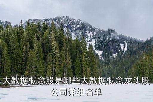 2020年數(shù)字經(jīng)濟(jì)概念股龍頭，求確定電子信息板塊當(dāng)前的龍頭股一只績差股一只代表性中小板塊