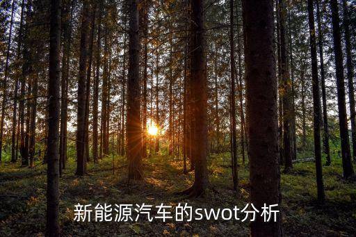 新能源汽車的swot分析