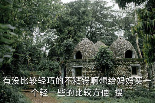 有沒比較輕巧的不粘鍋啊想給媽媽買一個輕一些的比較方便  搜