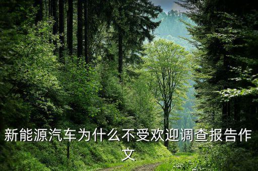 新能源汽車市場調(diào)查分析報告，新能源汽車為什么不受歡迎調(diào)查報告作文
