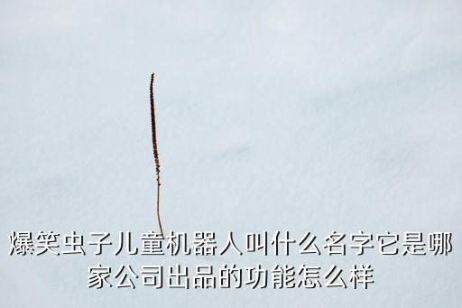 天津朗譽機(jī)器人有限公司，國產(chǎn)的智能平衡兩輪車TROBOT是哪家公司生產(chǎn)的