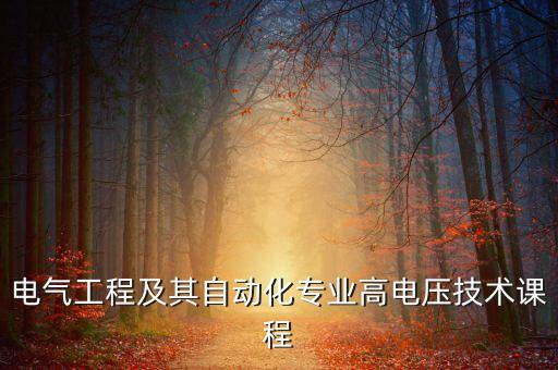電氣工程及其自動化專業(yè)高電壓技術(shù)課程