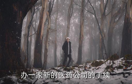 辦一家新的醫(yī)藥公司的手續(xù)