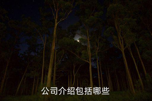 公司介紹包括哪些