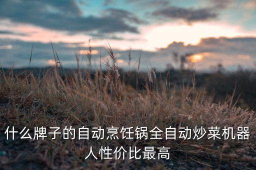 什么牌子的自動烹飪鍋全自動炒菜機(jī)器人性價比最高