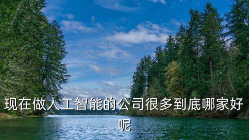現(xiàn)在做人工智能的公司很多到底哪家好呢