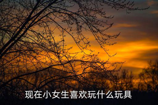 小女孩愛玩的玩具，什么玩具小孩子喜歡玩女孩