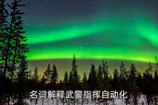 指揮自動化專業(yè)，軍校指揮自動化專業(yè)將來會分在哪些單位