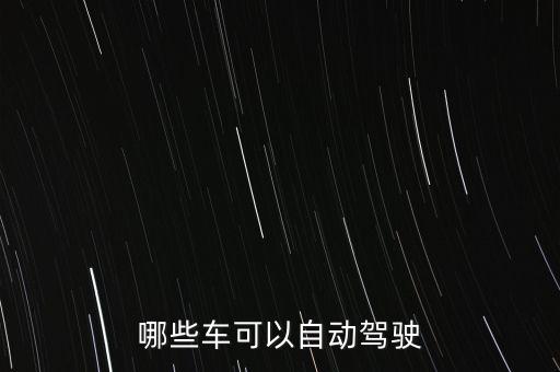 哪些車可以自動駕駛