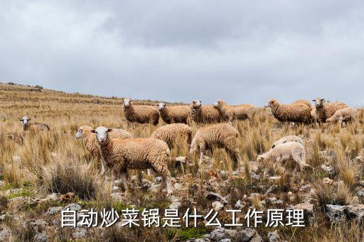 自動炒菜鍋是什么工作原理