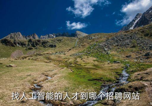找人工智能的人才到哪個招聘網(wǎng)站