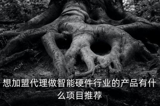 智能加盟代理項(xiàng)目，智能機(jī)器人代理加盟哪家好