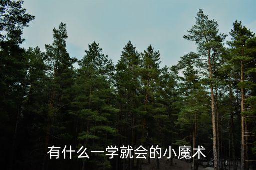 一次性紙杯魔術(shù)，怎樣用硬幣穿過一次性杯子魔術(shù)教學(xué)