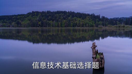 信息技術(shù)基礎(chǔ)知識題庫，信息技術(shù)基礎(chǔ)題目
