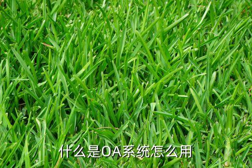 什么是OA系統(tǒng)怎么用