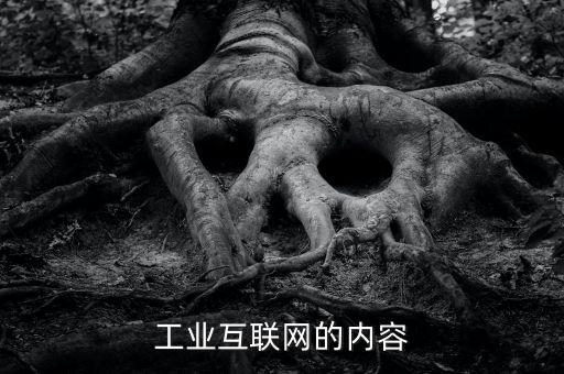 工業(yè)互聯(lián)網的內容