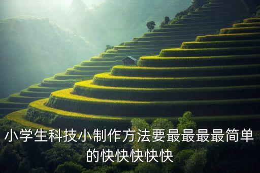 一二年級的科技小制作簡單，小學(xué)生科技小制作方法要最最最最簡單的快快快快快