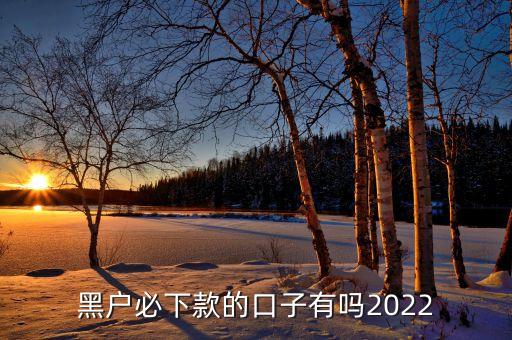 黑戶(hù)必下款的口子有嗎2022