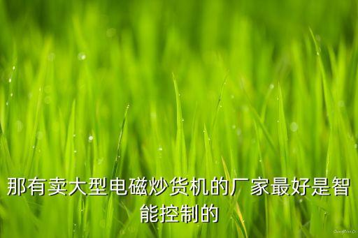 全自動炒貨機(jī)生產(chǎn)線廠家，金壯元炒貨機(jī)的生產(chǎn)廠家在哪兒