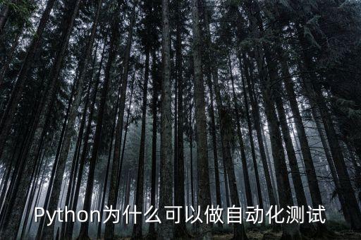 Python為什么可以做自動(dòng)化測(cè)試